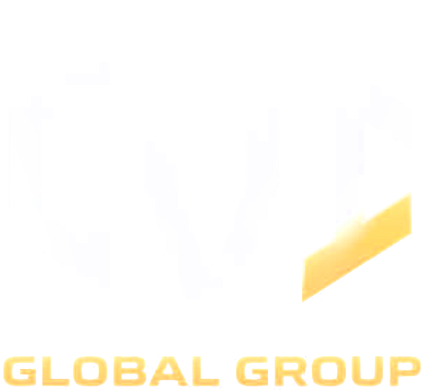 CVI GLOBAL GROUP